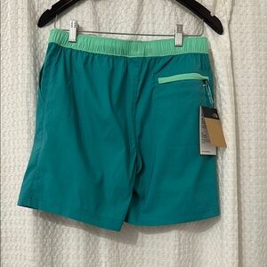 Teal Athletic Shorts by The North Face